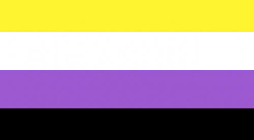 Nonbinary Flag