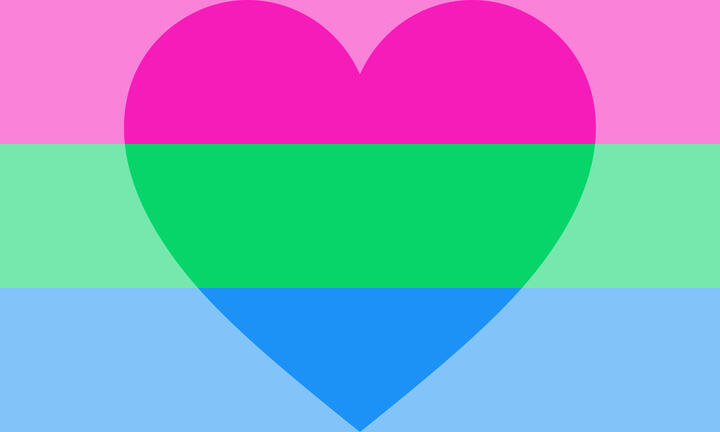 Polysexual Flag